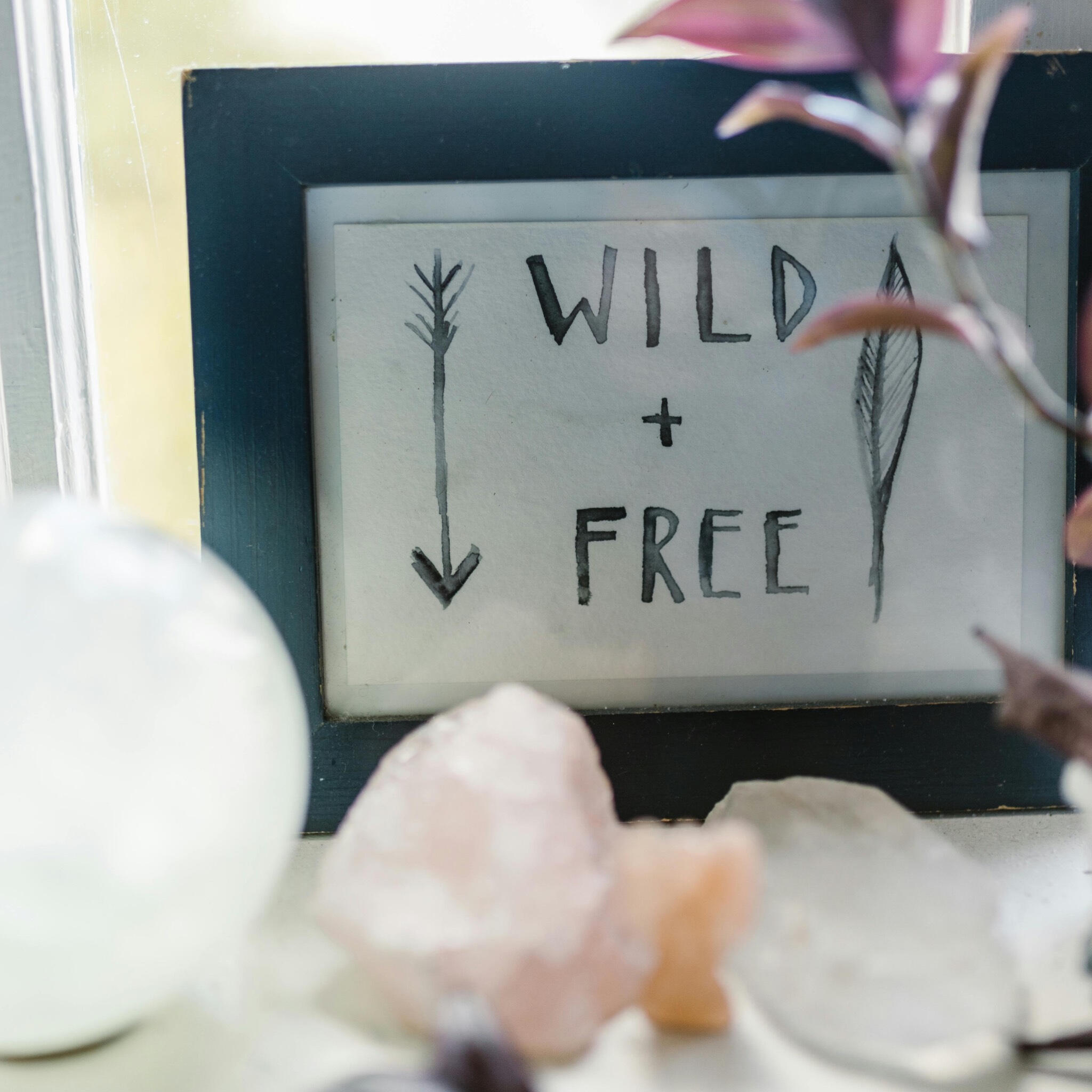 This is a photo of some crystals in front of a sign saying Wild and Free.